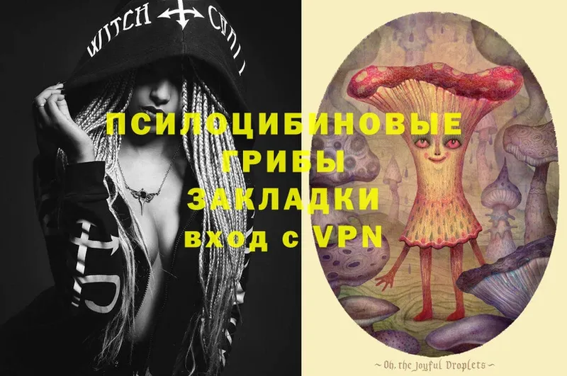 Псилоцибиновые грибы Psilocybe  Закаменск 